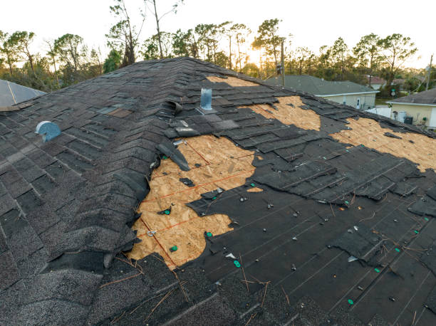 Best Storm Damage Roof Repair  in Knightstown, IN