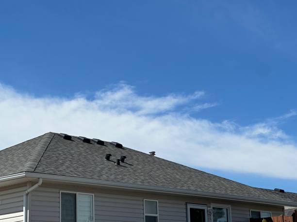 Best Roof Insulation Installation  in Knightstown, IN